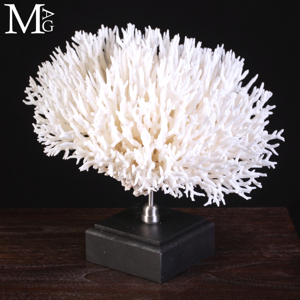 Coral Reef Shop Yellow Tip Seriatopora Hystrix